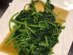 -潮福汇