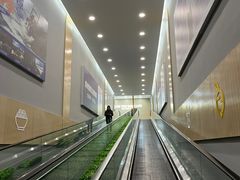 -世纪联华超市(凤起店)