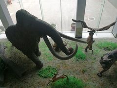 -中国第四纪冰川遗迹陈列馆