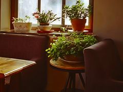-1901 Cafe(西四店)
