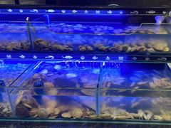 -星伦多自助料理·涮烤一体(奉贤龙湖天街店)