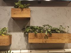 -塘屋烧烤·云南火塘烧烤品牌(春城慧谷旗舰店)
