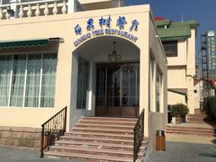 -青岛海景花园大酒店·白果树餐厅青岛菜