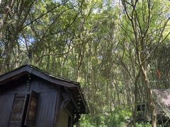 -富春桃源风景区
