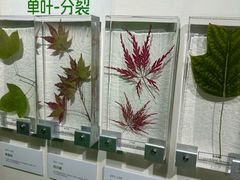 -中国湿地博物馆