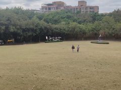 -广州雕塑公园