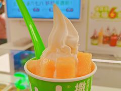 -Salud撒露欧洲冻酸奶(五道口购物中心店)