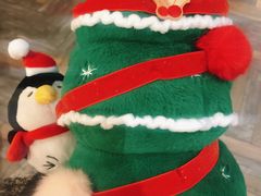 -星巴克(北京佳程广场店)