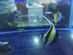 -吉野家(上地三街店)