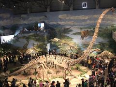 -自贡恐龙博物馆