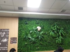 -华莱士·全鸡汉堡(海口政法学院店)