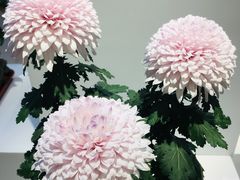 -汇龙潭