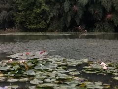 -艾溪湖湿地公园