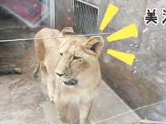 -西安秦岭野生动物园