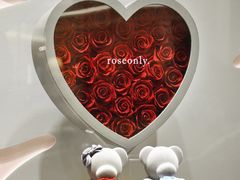 -ROSEONLY诺誓(磐基中心店)