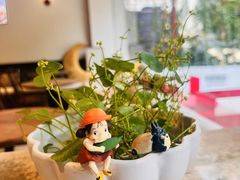 -EnergyCake蛋糕理想国
