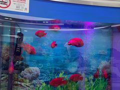 -雅悦齿科(顾村公园店)