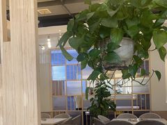-芭夯兔·兔肉汤锅(新都店)