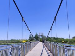 -西青郊野公园