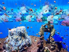 -海合安成都极地海洋公园