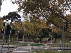 -墨尔本皇家植物园