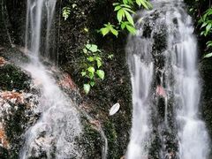 -瓦屋山景区