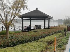 -昆山城市生态森林公园