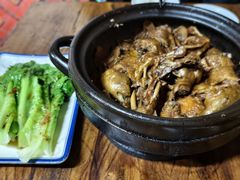 -百家春好德来姜母鸭