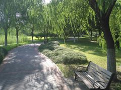 -永定河休闲森林公园