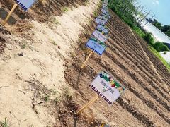 -意大利农场度假村