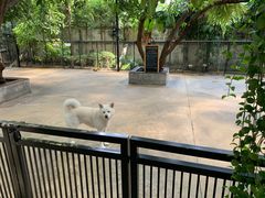 -TrueLove @ Neverland (Husky Cafe)