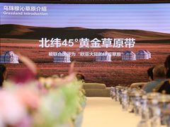 -牛街·马辈儿涮肉(牛街总店)