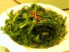 凉拌蓬蒿-新南华大酒店(广中店)