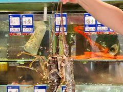 -荣基四海一家·家常菜·海鲜大排档(新安店)