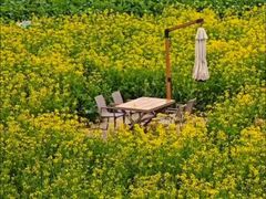 -中国天府农业博览园