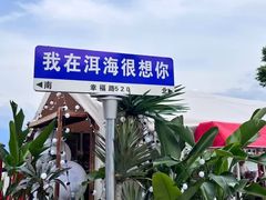 -洱海月湿地公园