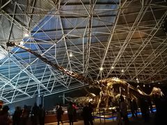 -世界恐龙谷景区