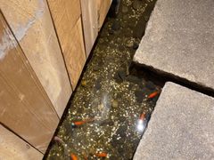 -邈墨茶馆(凤起路店)