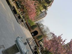 -木塔寺遗址生态公园