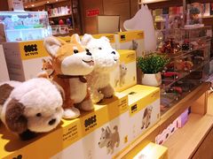 -G·SPACE(金鹰世界店)