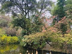-榛悦隆堡成都酒店(春熙路太古里店)