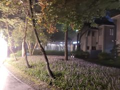 -西湖天地