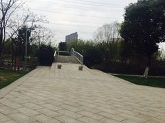 -九里河湿地公园