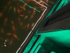 -豫园湖心亭茶楼
