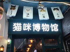 门面-猫咪博物馆(顶澳仔猫街店)