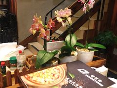 -彼芝奇比萨(红坊店)