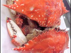 海岛渔村-梭子蟹-海岛渔村大酒店(云霄路店)