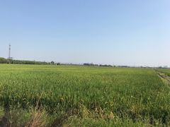 -嘉北郊野公园北游客中心-地上停车场