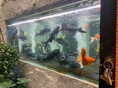 -又见炊烟私房菜(敬亭路店)