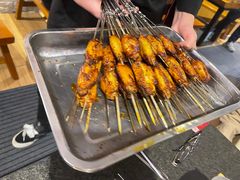 -福苗小骆驼烧烤(望京店)